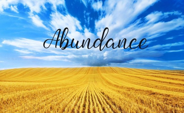 adundance-in-the-field