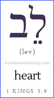 heart-lev