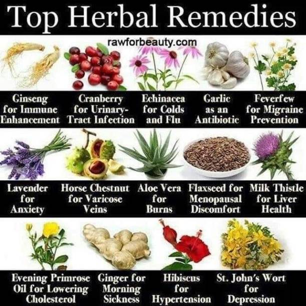 herbal-remedies